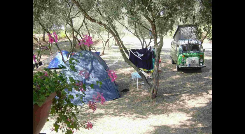 Camping Capicorsine  Aléria