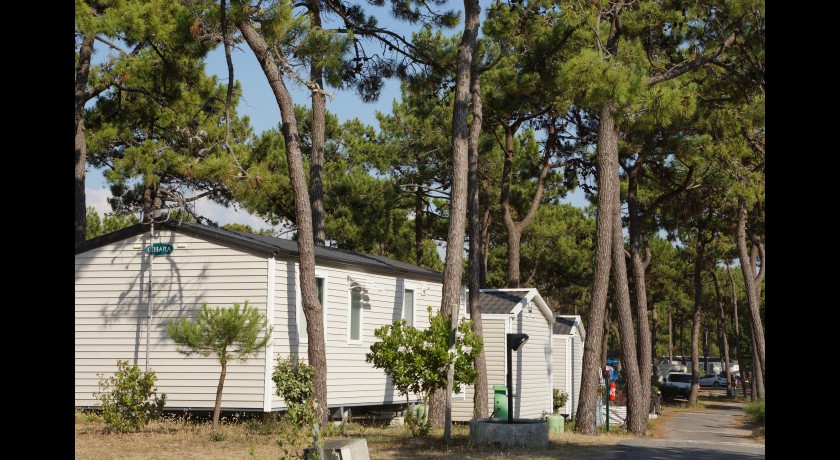 Camping Le Grand Corseau  La barre-de-monts