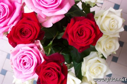 Carte bouquet de roses thème fleurs