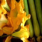 carte courgettes
