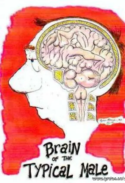 Carte cerveau homme thème humour