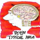 carte cerveau homme