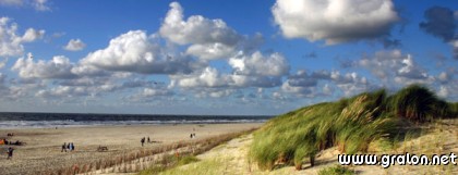 Carte plage dune thème paysages