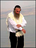 Assi Dayan
