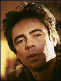 Benicio Del Toro