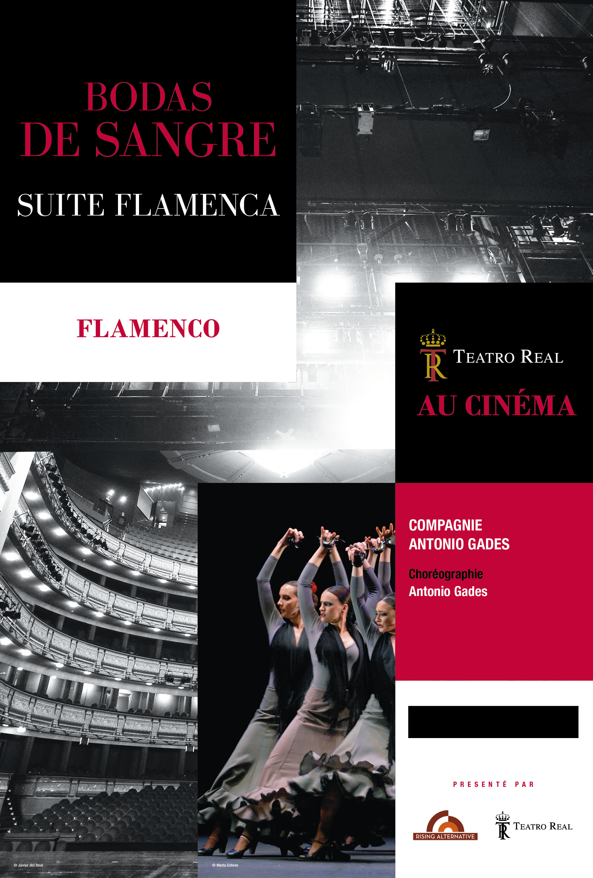 Bodas de sangre - Suite Flamenca (Rising Alternative)