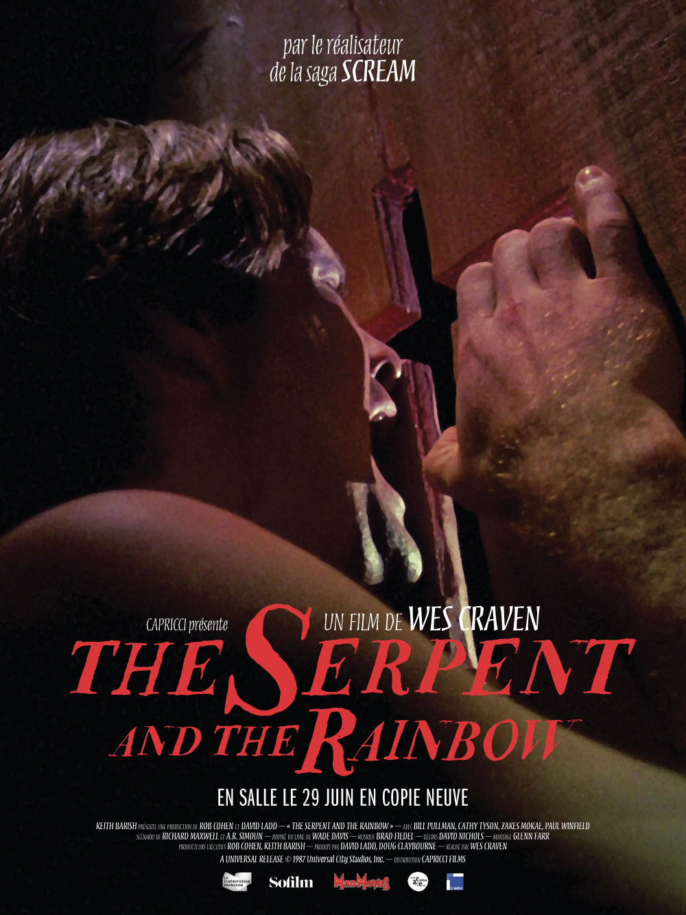 The Serpent and the Rainbow