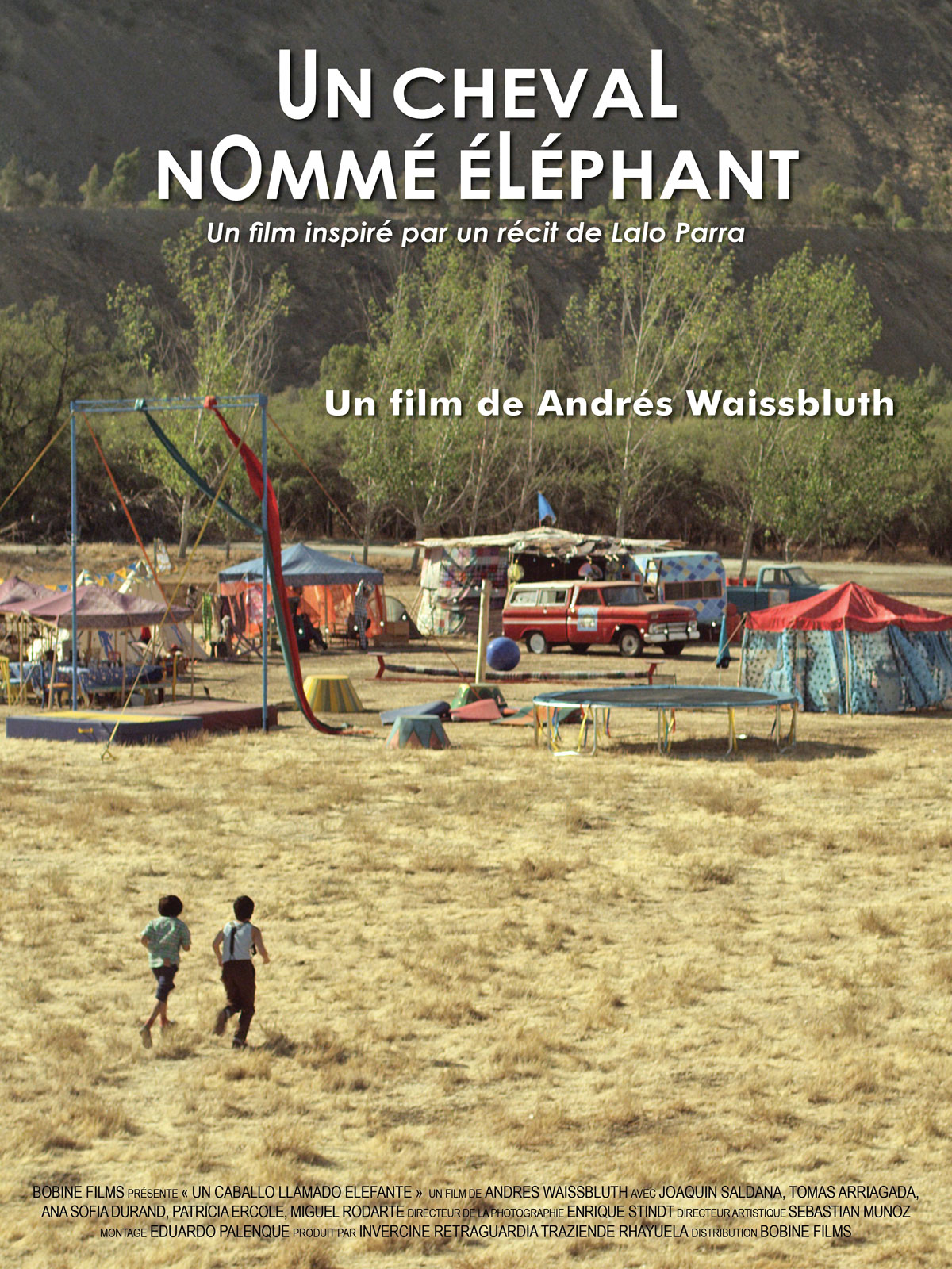 Un cheval nommé éléphant