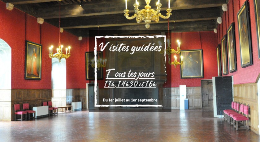 "visites guidées" au château de sully sur loire