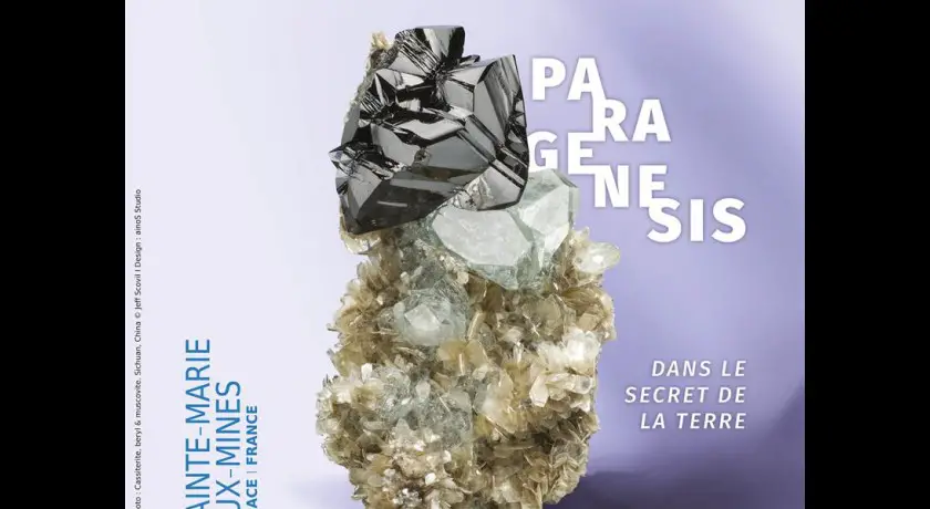 59ème édition : mineral & gem