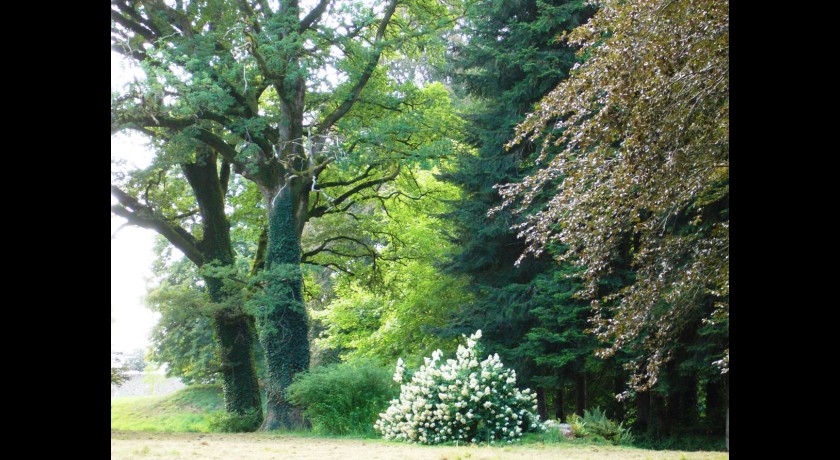 Arboretum du château de neuvic d'ussel