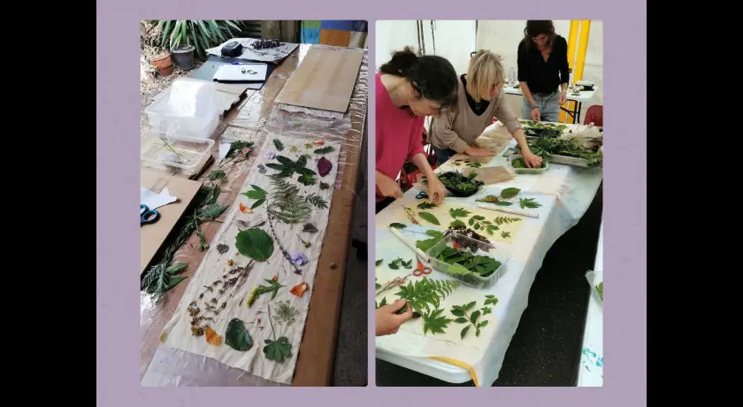 Atelier découverte "la nature donne des couleurs" : impression directe de plantes sur tissu
