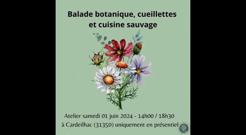 Balade botanique : cueillette et cuisine sauvage