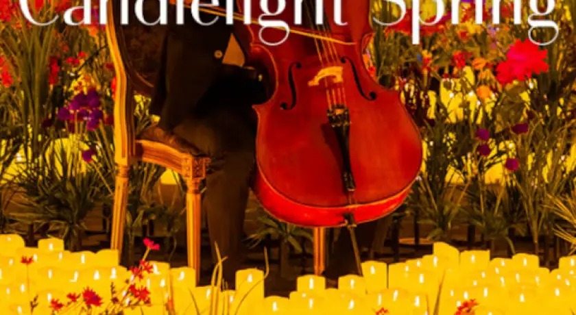 Candlelight spring : hommage à jean-jacques goldman