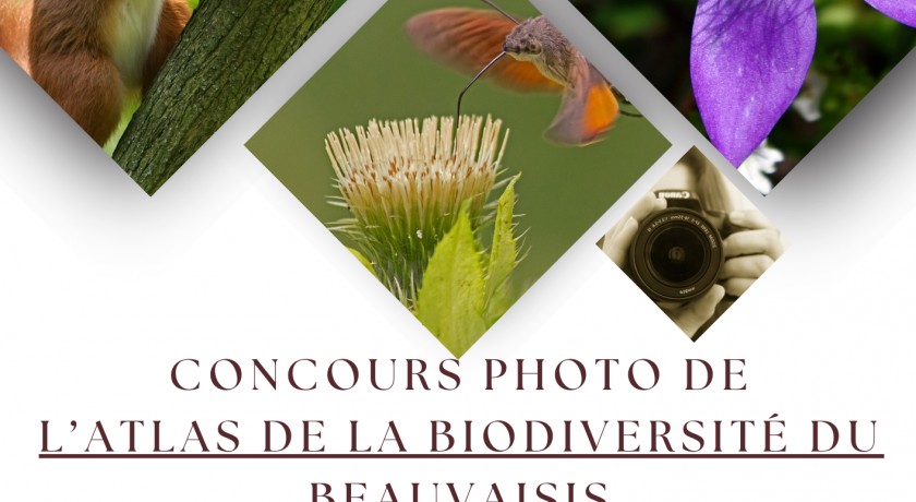 Concours photos de l'atlas de la biodiversité du beauvaisis