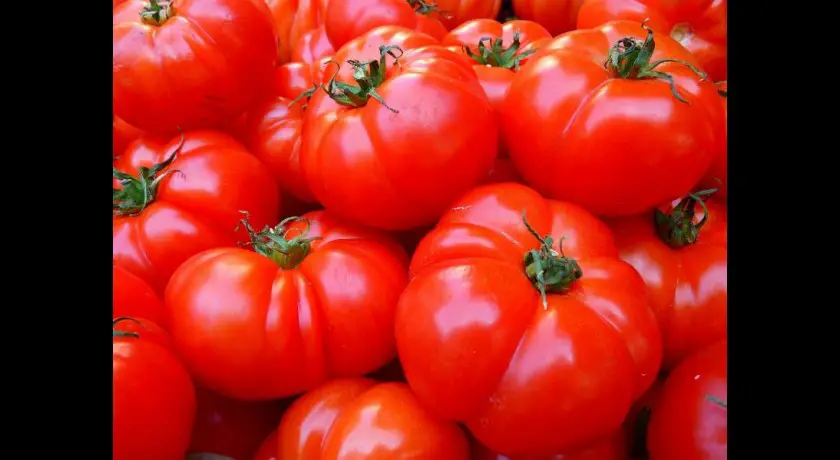 Foire aux tomates