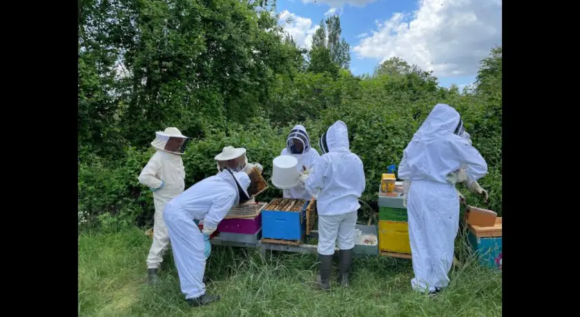 J'apprends l'apiculture avec l'abeille cubzaguaise