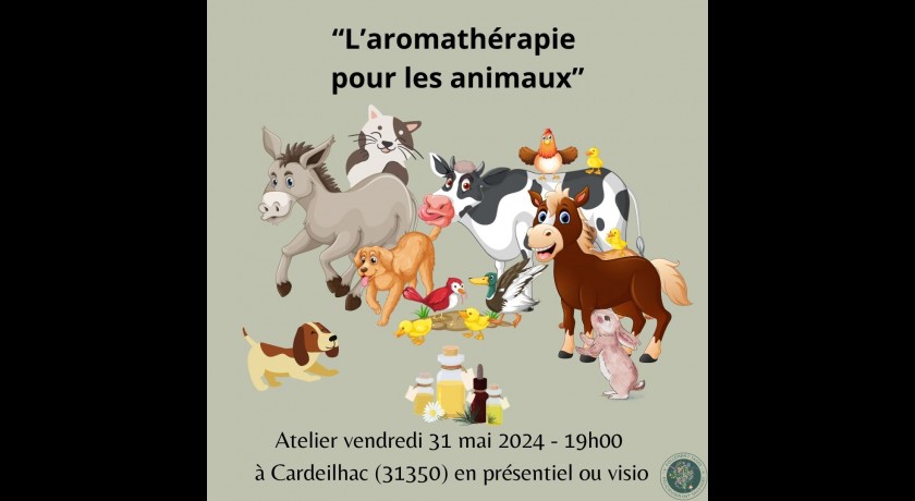 L'aromathÉrapie pour nos animaux de compagnie