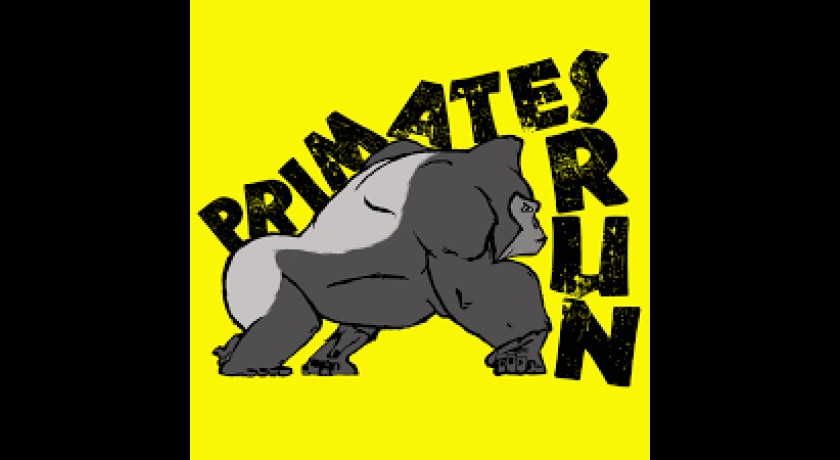 Primates run