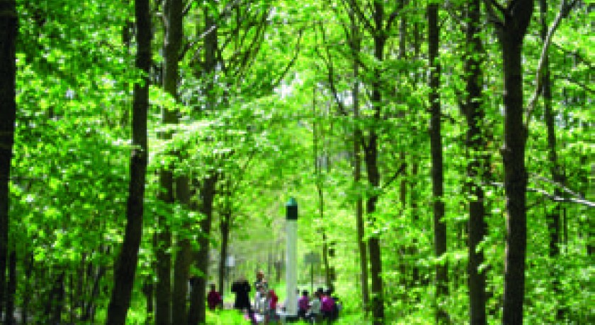 Randonnée historique en forêt de chantilly