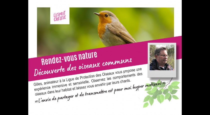 Rendez-vous nature - ornithologie - saint-marc à loubaud