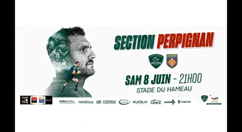 Rugby top14 section paloise vs perpignan