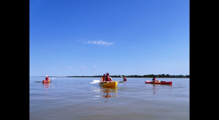 Sortie en kayak de mer sur l'estuaire