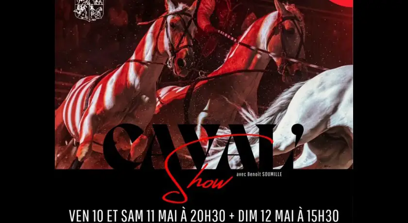 Spectacle "caval'show"