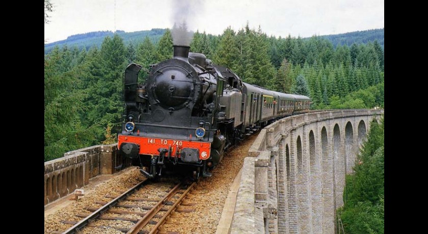 Train touristique à vapeur : circuit des gorges de la vienne