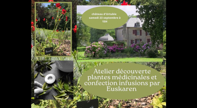 Visite du château d'urtubie  + atelier découverte des plantes médicinales , confection de son infusion