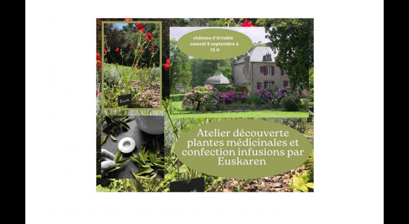 Visite du château d'urtubie + atelier découverte des plantes médicinales , confection de son infusion