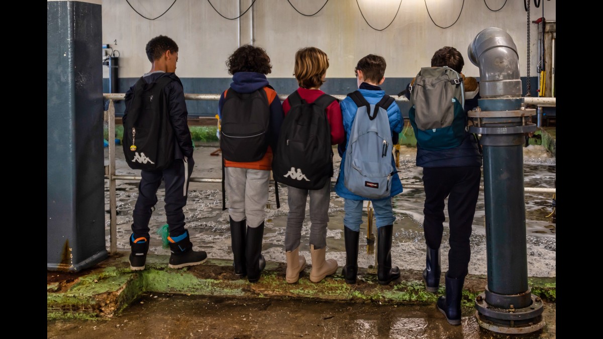 Visites spéciales enfants