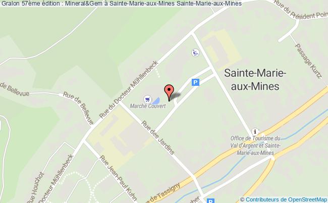 plan 59ème édition : Mineral & Gem Sainte-Marie-aux-Mines