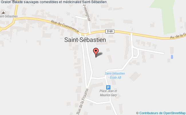 plan Balade Sauvages Comestibles Et Médicinales Saint-Sébastien
