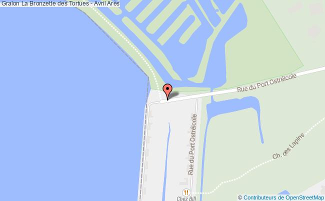 plan Bronzette Des Tortues Arès