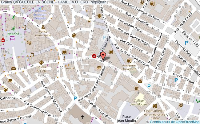 plan Ça Gueule En ScÈne - CamÉlia Otero Perpignan