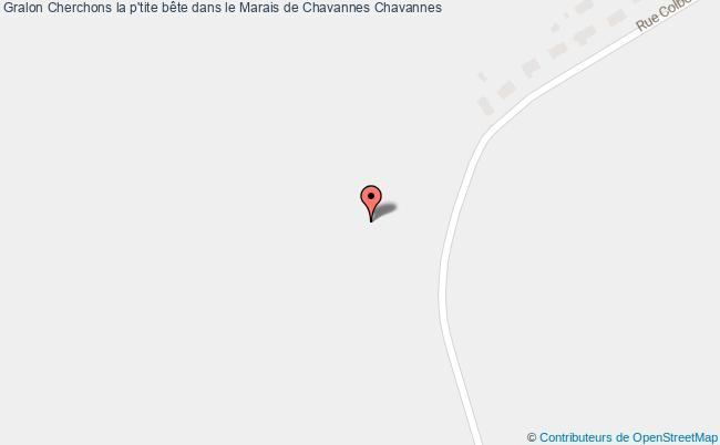 plan Cherchons La P'tite Bête Dans Le Marais De Chavannes Chavannes