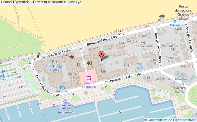 plan Exposition - Different Is Beautiful Hendaye