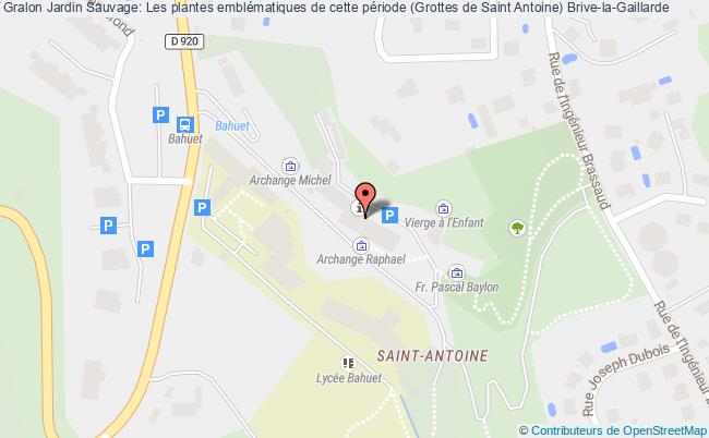 plan Jardin Sauvage: Les Plantes Emblématiques De Cette Période (grottes De Saint Antoine) Brive-la-Gaillarde