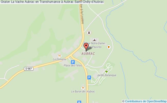 plan La Vache Aubrac En Transhumance à Aubrac Saint-Chély-d'Aubrac