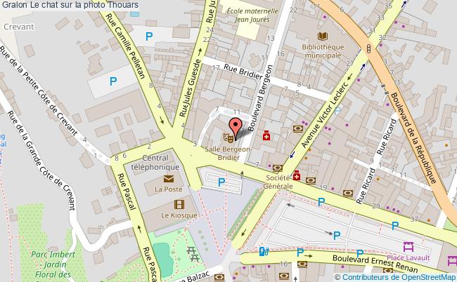 plan Le Chat Sur La Photo Thouars