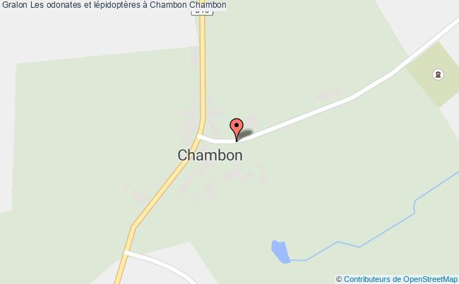 plan Les Odonates Et Lépidoptères à Chambon Chambon