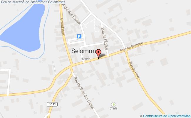 plan Marché De Selommes Selommes