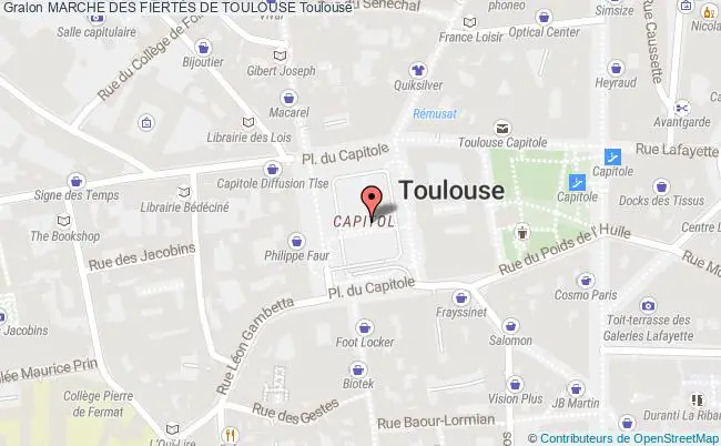 plan Marche Des FiertÉs De Toulouse Toulouse