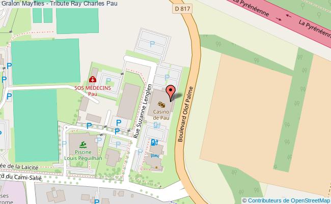 plan Mayflies - Tribute Ray Charles Pau