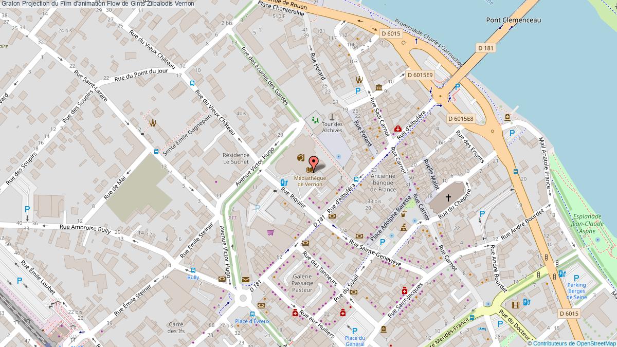 Projection Du Film D'animation Flow De Gints Zilbalodis Vernon Chat ...