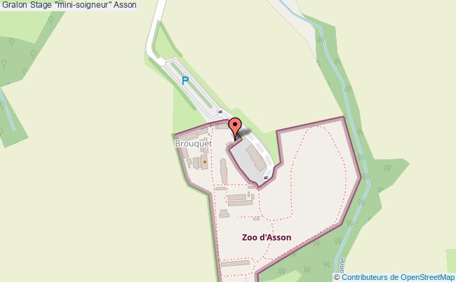 plan Stage "mini-soigneur" Asson