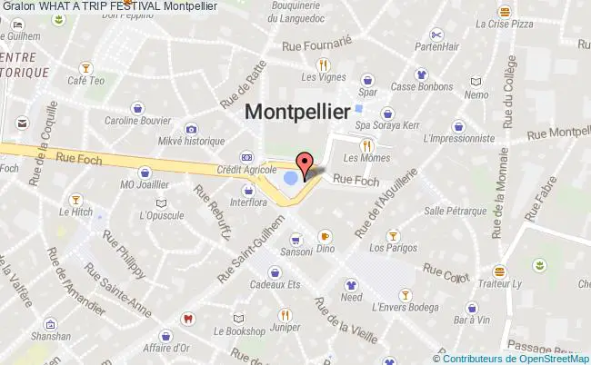 plan What A Trip Festival Montpellier