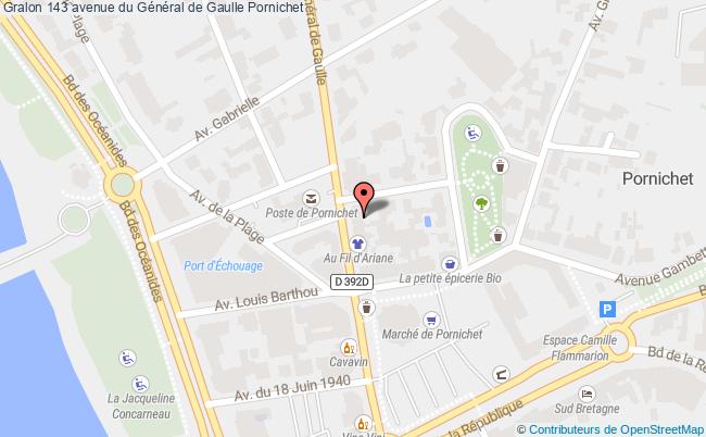 plan 143 avenue du Général de Gaulle 