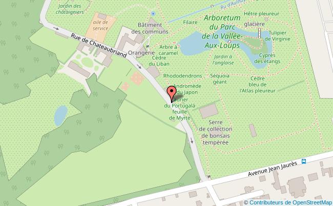 plan de chatenay malabry - Image